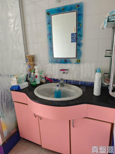 175921987639ed610c-3a1f-4b3b-a9ab-374ddcc4ea75.jpeg 青泰苑 誠泰閣 (E座) - 28NTS – 香港北部都會區