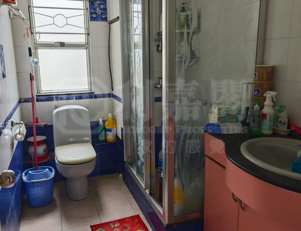 17592198800bf7e443-87d8-4dcf-8684-a7dbb415d79d.jpeg 青泰苑 誠泰閣 (E座) - 28NTS – 香港北部都會區