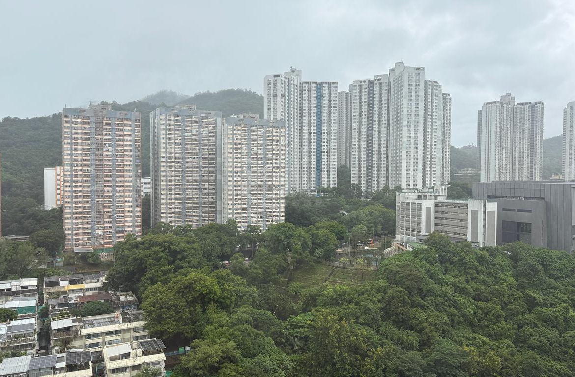 綠悠雅苑 3座 - 28NTS – 香港北部都會區