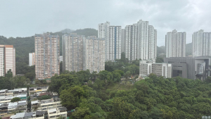 綠悠雅苑 3座 - 28NTS – 香港北部都會區