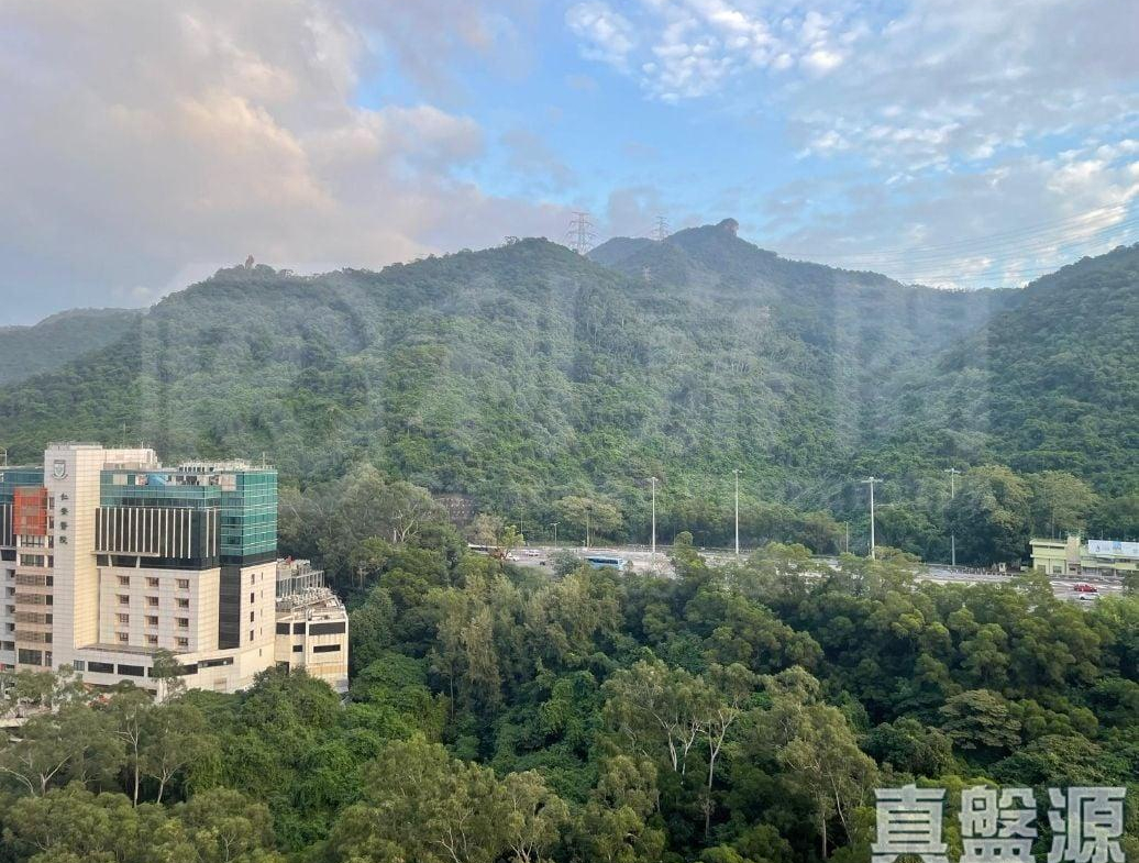 175922407855ce422f-e0cf-4d35-9802-f2350a3d7d70.jpeg 嘉田苑 嘉賢閣 (C座) - 28NTS – 香港北部都會區