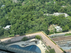 駿景園 1期 1座 - 28NTS – 香港北部都會區