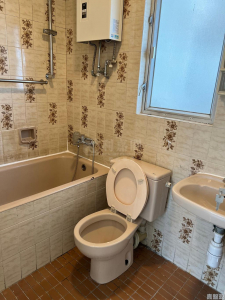 沙田第一城 4期 44座 - 28NTS – 香港北部都會區