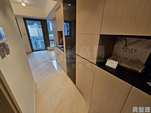 星凱．堤岸 2座 - 28NTS – 香港北部都會區