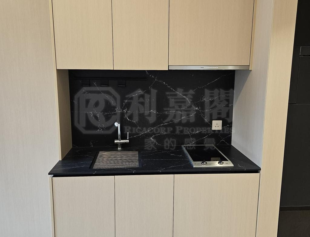 星凱．堤岸 2座 - 28NTS – 香港北部都會區