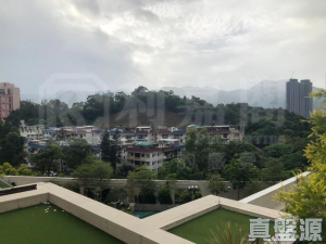 壹號雲頂 1期 3座 - 28NTS – 香港北部都會區