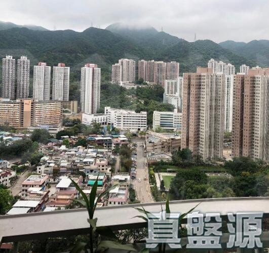 名城 3期 盛世 5座 - 28NTS – 香港北部都會區