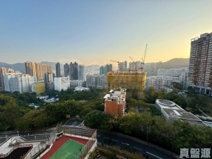 沙田山莊 - 28NTS – 香港北部都會區