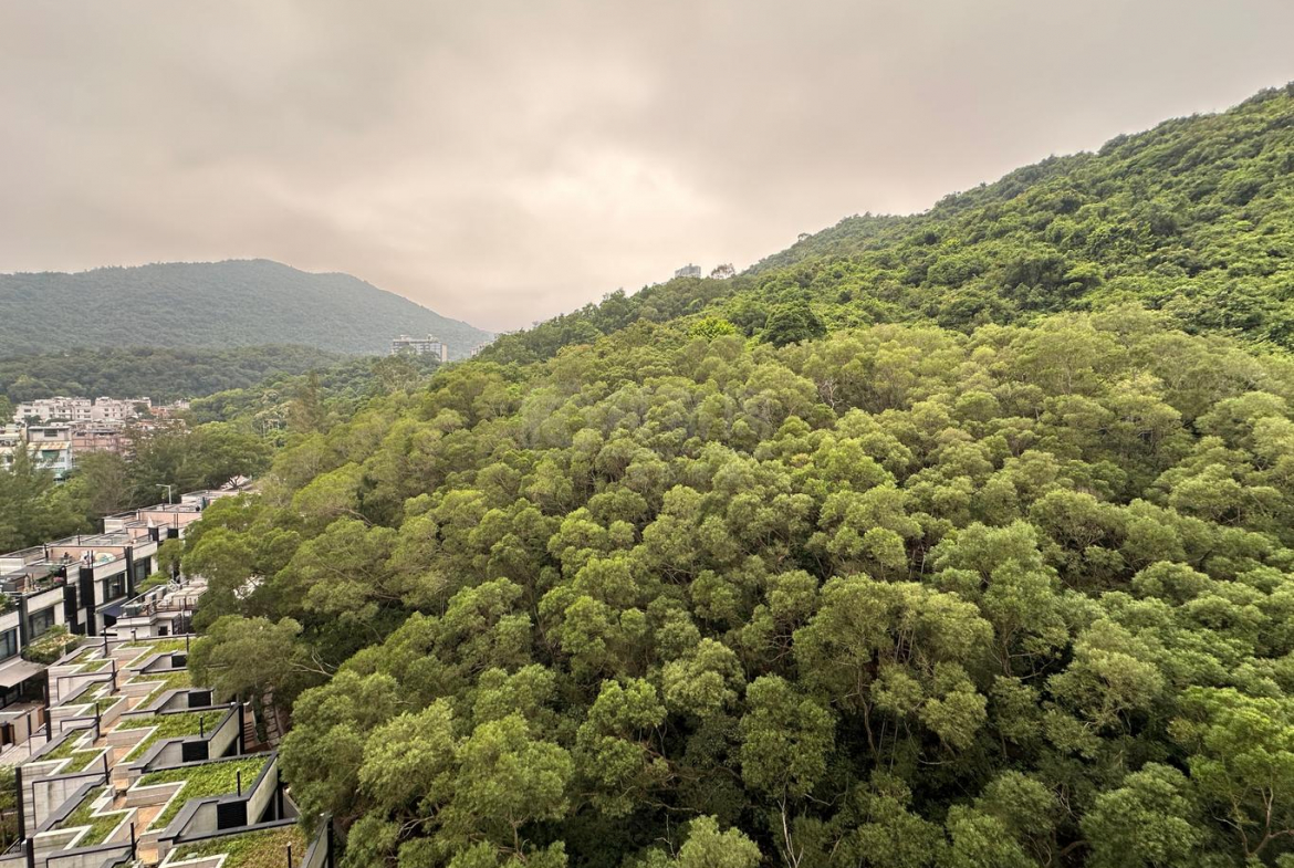 名日．九肚山 1座 - 28NTS – 香港北部都會區