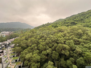 名日．九肚山 1座 - 28NTS – 香港北部都會區