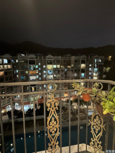 新峰花園 1期 10座 - 28NTS – 香港北部都會區