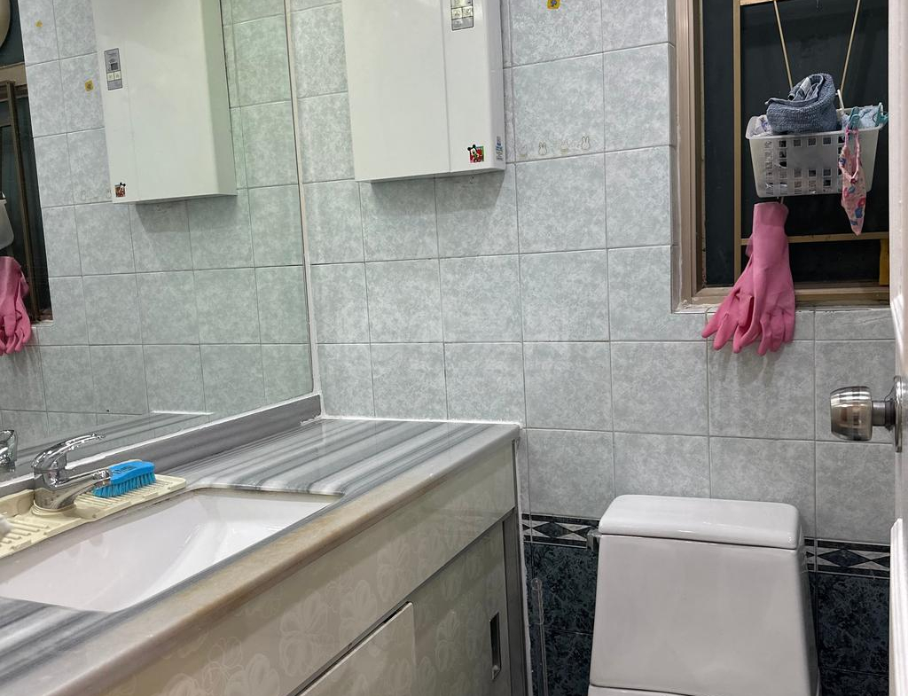 新峰花園 1期 10座 - 28NTS – 香港北部都會區