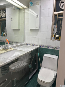 新峰花園 1期 10座 - 28NTS – 香港北部都會區