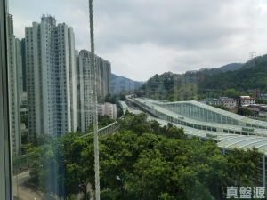 珀玥 - 28NTS – 香港北部都會區