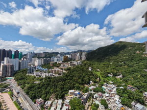 駿景園 2期 8座 - 28NTS – 香港北部都會區
