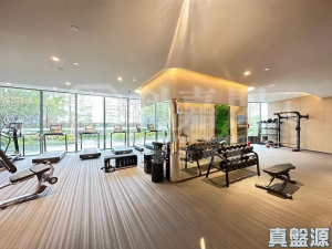 星凱．堤岸 5座 - 28NTS – 香港北部都會區