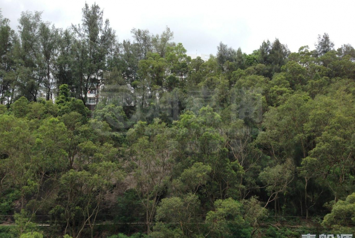 麗峰花園 - 28NTS – 香港北部都會區