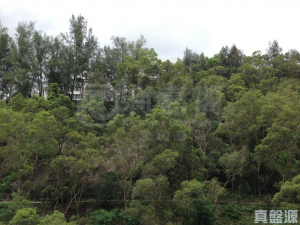 麗峰花園 - 28NTS – 香港北部都會區