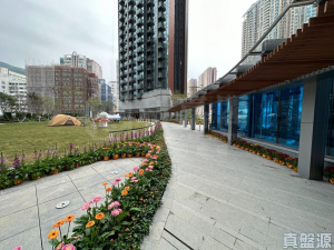 星凱．堤岸 5座 - 28NTS – 香港北部都會區