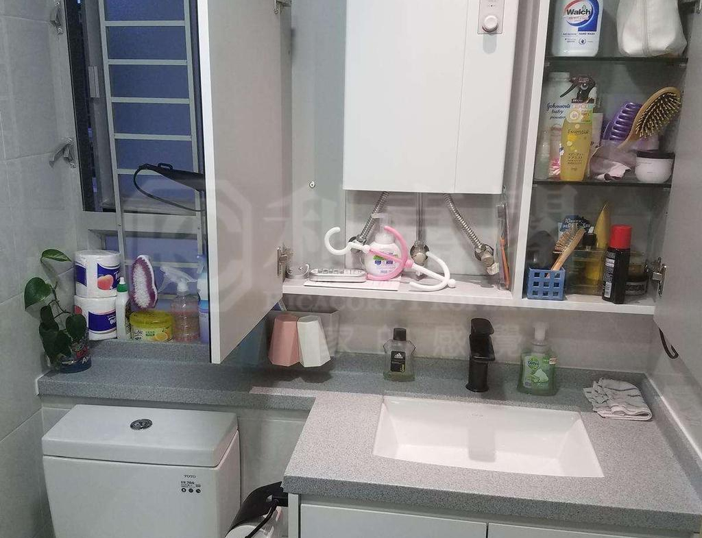 屏欣苑 B座 (屏彥閣) - 28NTS – 香港北部都會區