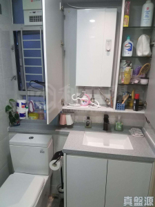 屏欣苑 B座 (屏彥閣) - 28NTS – 香港北部都會區