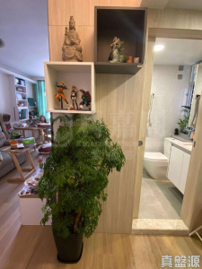 屏欣苑 B座 (屏彥閣) - 28NTS – 香港北部都會區