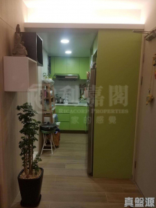 屏欣苑 B座 (屏彥閣) - 28NTS – 香港北部都會區