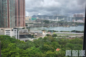 17593098288c744d8c-e099-462c-a8e8-b8ae64739d05.jpeg 偉景花園 3座 - 28NTS – 香港北部都會區