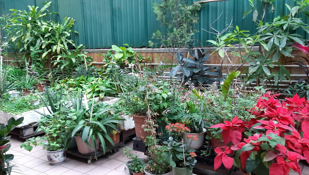 海盛大廈 - 28NTS – 香港北部都會區