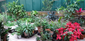 海盛大廈 - 28NTS – 香港北部都會區