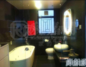 寶雲匯 3座 - 28NTS – 香港北部都會區