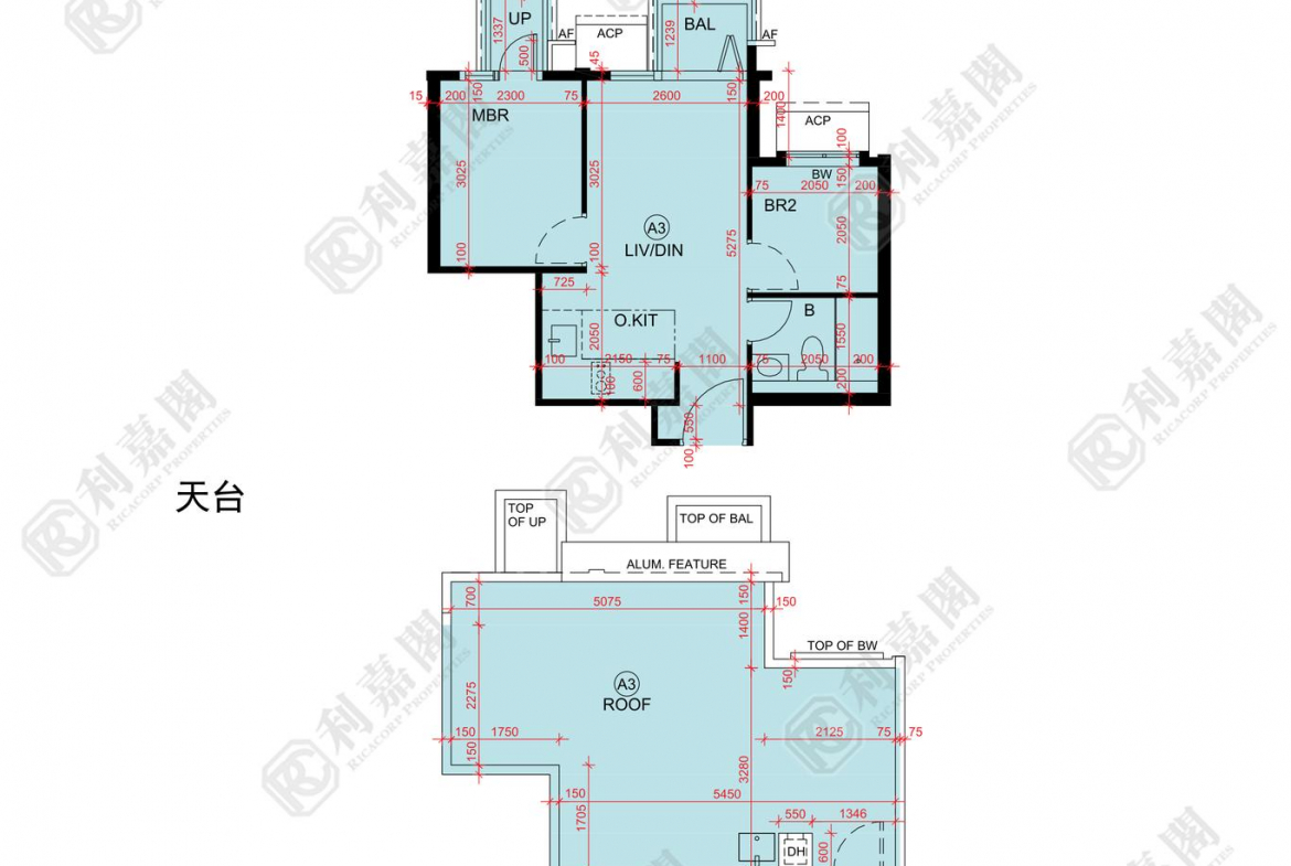 WETLAND SEASONS PARK 2期 3座 - 28NTS – 香港北部都會區