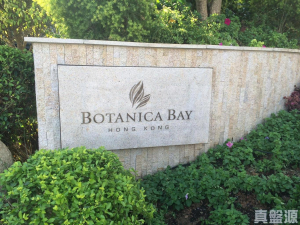 BOTANICA BAY - 28NTS – 香港北部都會區