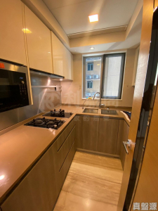 峻巒 2A期 PARK YOHO GENOVA 18B座 - 28NTS – 香港北部都會區