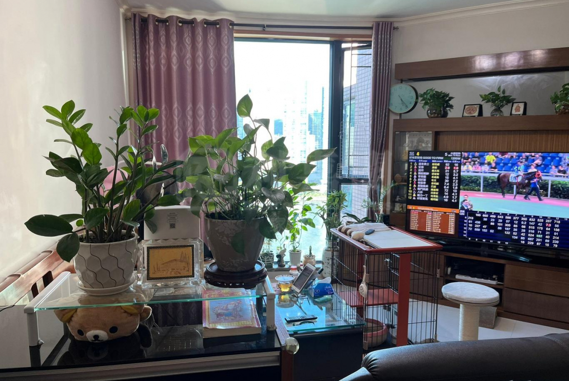 17593311939ad2c624-43c4-4451-992b-3f0f0e8f5ab9.jpeg 灝景灣 2期 6座 - 28NTS – 香港北部都會區