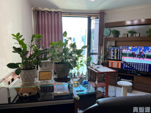 17593311939ad2c624-43c4-4451-992b-3f0f0e8f5ab9.jpeg 灝景灣 2期 6座 - 28NTS – 香港北部都會區