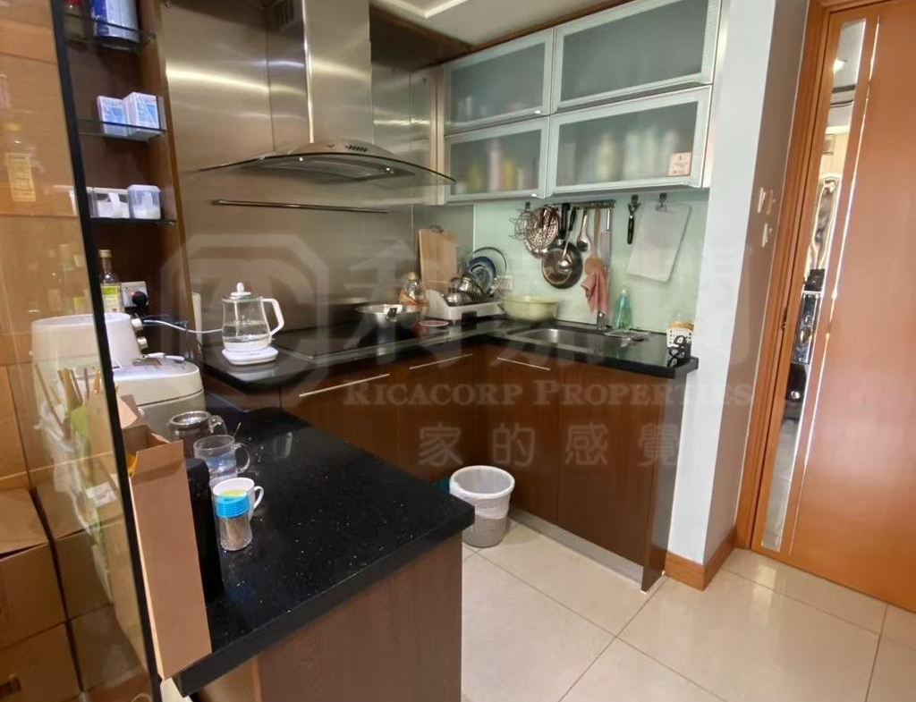 爵悅庭 東爵軒 (A1) - 28NTS – 香港北部都會區