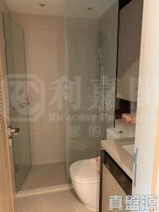 WETLAND SEASONS PARK 2期 3座 - 28NTS – 香港北部都會區