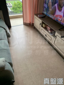 WETLAND SEASONS PARK 2期 3座 - 28NTS – 香港北部都會區