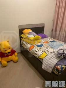 WETLAND SEASONS PARK 2期 3座 - 28NTS – 香港北部都會區