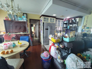 海韻臺 - 28NTS – 香港北部都會區