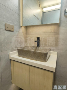 屏欣苑 C座 (屏泰閣) - 28NTS – 香港北部都會區