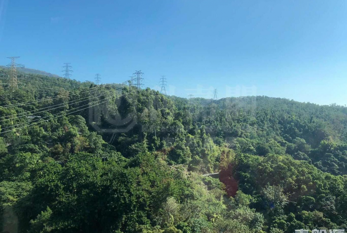 朗逸峰 1期 3座 - 28NTS – 香港北部都會區