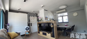 啟欣軒 1期 3座 - 28NTS – 香港北部都會區