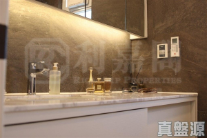 啟欣軒 1期 3座 - 28NTS – 香港北部都會區