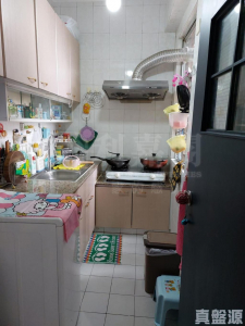 寶怡花園 1座 - 28NTS – 香港北部都會區