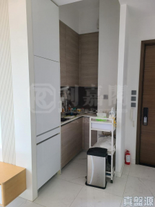 17593541943781e73f-94a7-4591-aef7-78e944f362fc.jpeg 尚悅 12座 - 28NTS – 香港北部都會區