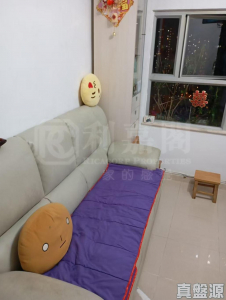 怡峰苑 豪峰閣 (B座) - 28NTS – 香港北部都會區