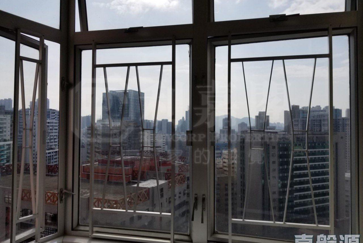 葵星中心 B座 - 28NTS – 香港北部都會區