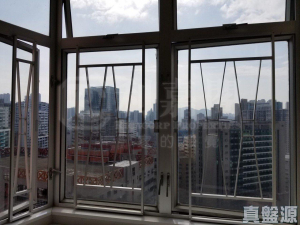 葵星中心 B座 - 28NTS – 香港北部都會區